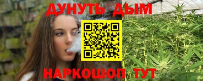 МДПВ Дубна