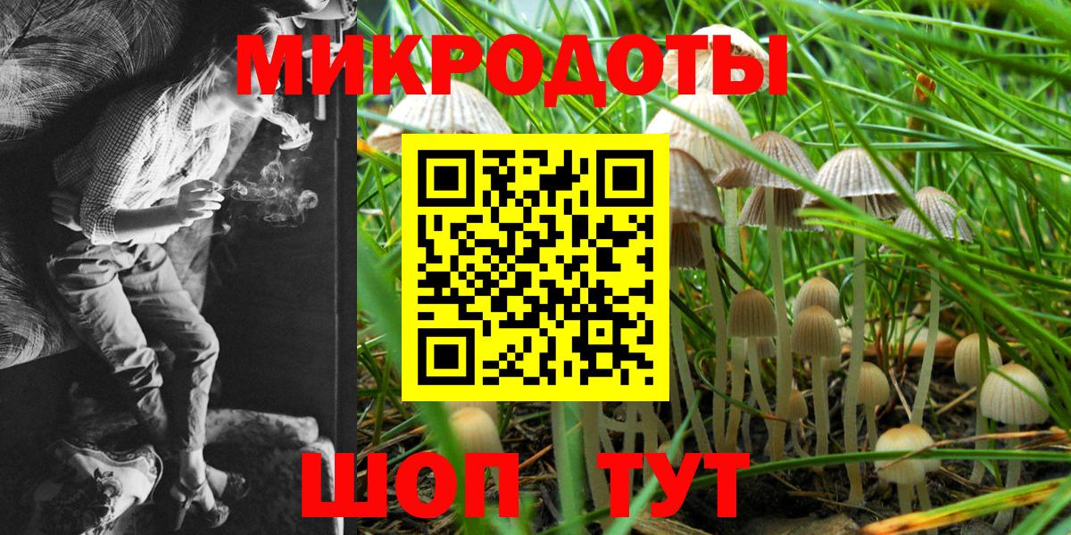 Галлюциногенные грибы Psilocybe  Вход с VPN  Галлюциногенные грибы Psilocybe  Малоярославец 