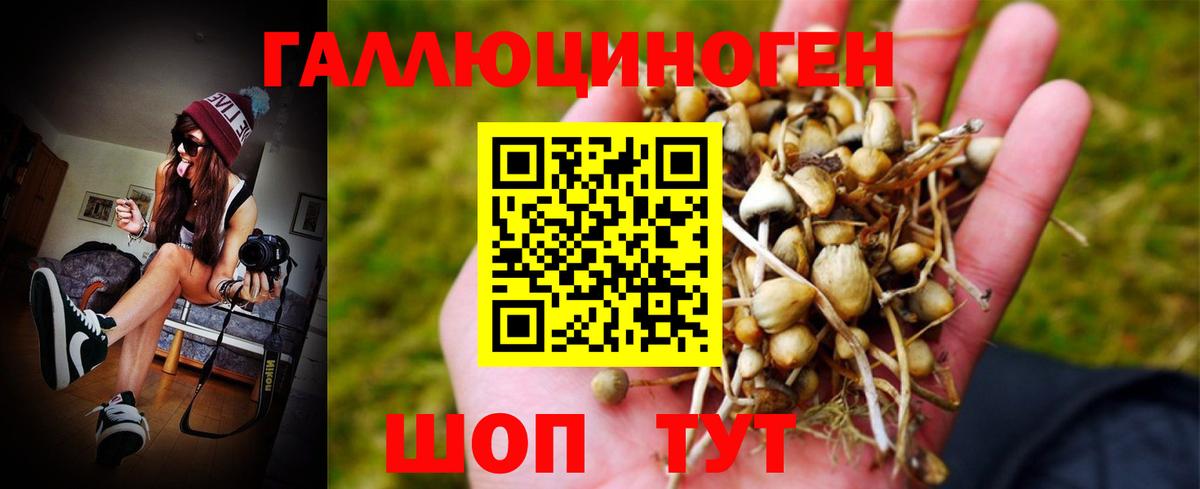 MDMA Малоярославец