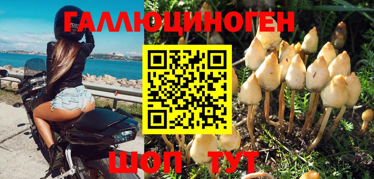 Псилоцибиновые грибы прущие грибы Малоярославец
